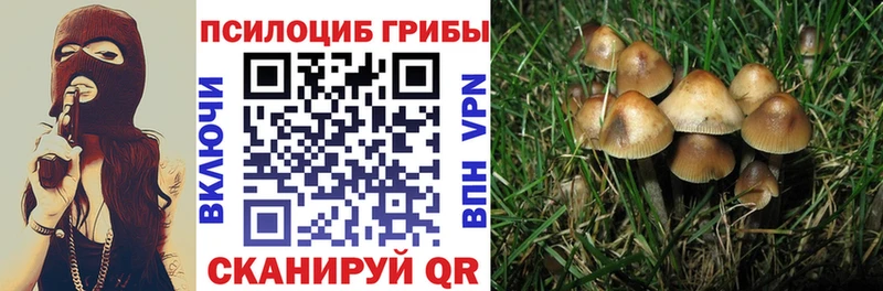 Псилоцибиновые грибы MAGIC MUSHROOMS  Ессентукская 