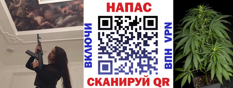 Конопля Bruce Banner  Ессентукская 